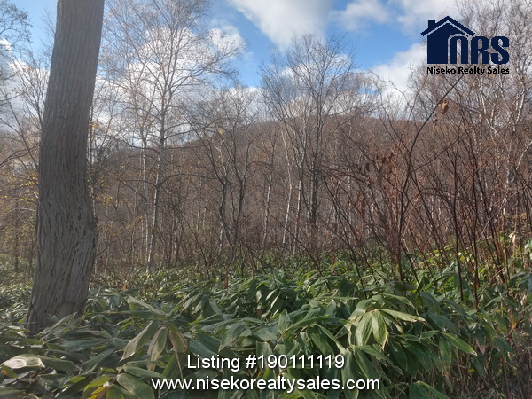 KutchanLandForsaleYamada28-20_6