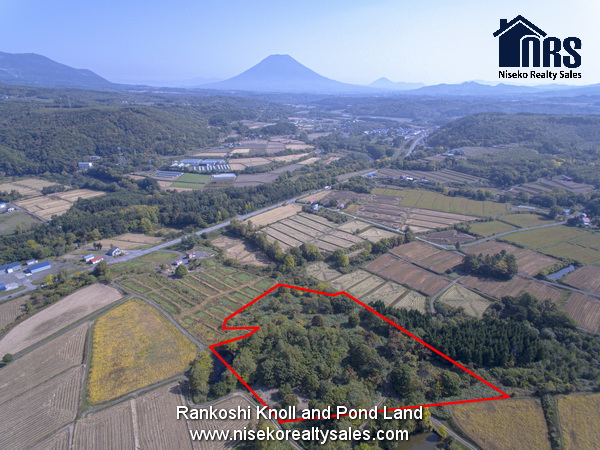 NRS_Rankoshi_498-2_For_sale (1)