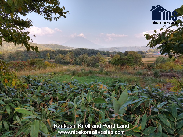 NRS_Rankoshi_498-2_For_sale (4)