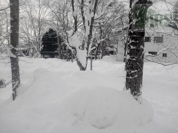 Winter view looking across block to the north east.
