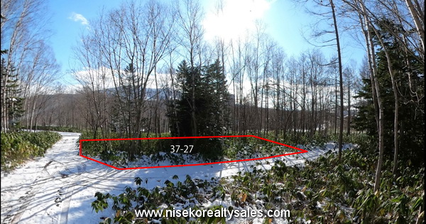 AzaIzumikawa37-27 looking in southerly direction down to old highway.