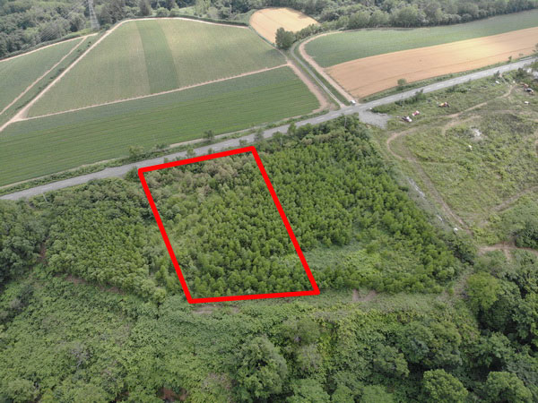 Showing block with approximately 54m road easement frontage and farmland on opposite side of the frontal road.