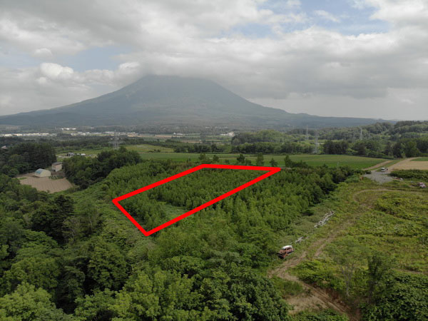 Looking easterly direction across block at Mt Yotei in the background