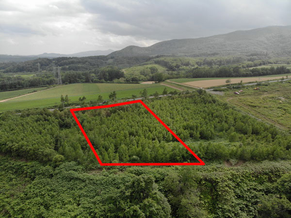 Looking in southerly direction towards Niseko Hirafu.