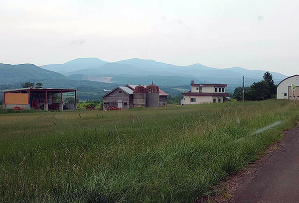 189_186_ TatsumiKutchan_ForSale (11)